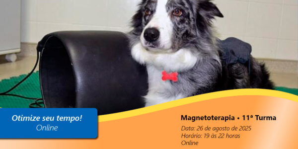 Magnetoterapia • 11ª Turma