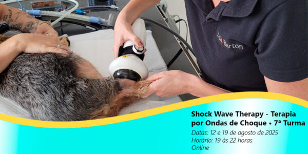 Shock Wave Therapy-Terapia por Ondas de Choque • 7ª Turma