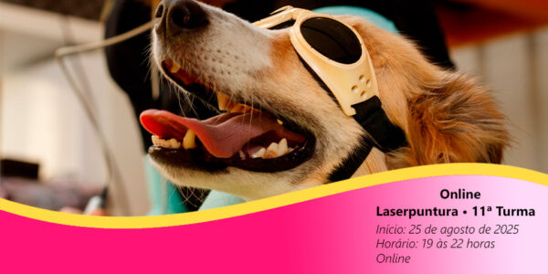 Laserpuntura • 11ª Turma