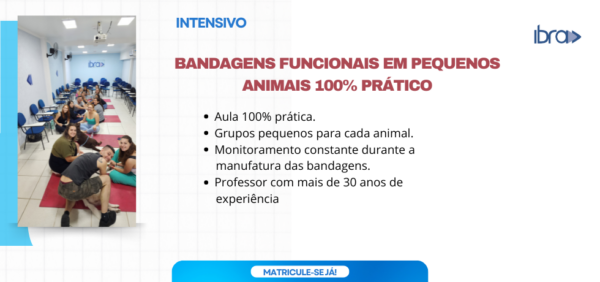 Bandagens Funcionais em Pequenos animais 100% Prático • Intensivo