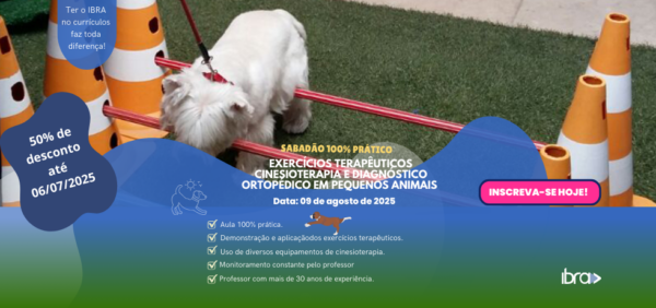Exercícios Terapêuticos - Cinesioterapia em pequenos animais 100% Prático • Intensivo