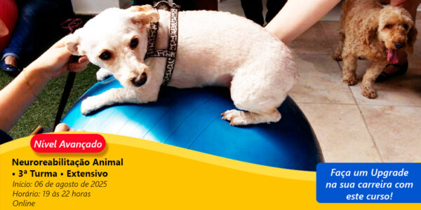 Neuroreabilitação Animal • 3ª Turma • Extensivo